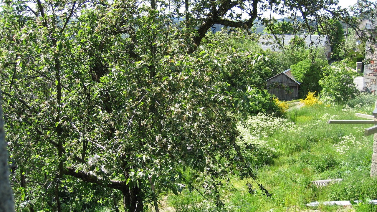 Photo of Outdoor in Saint-Alban-sur-Limagnole