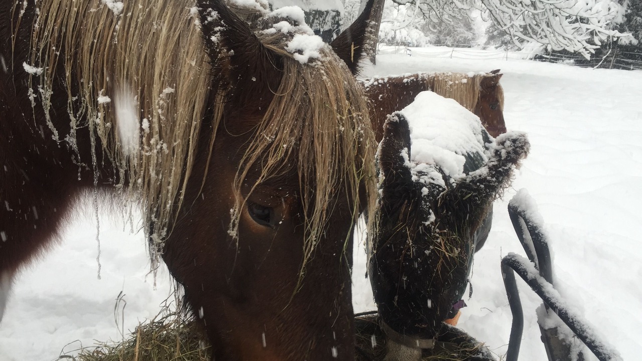 Photo of Others in Le Bourg-d'Oisans