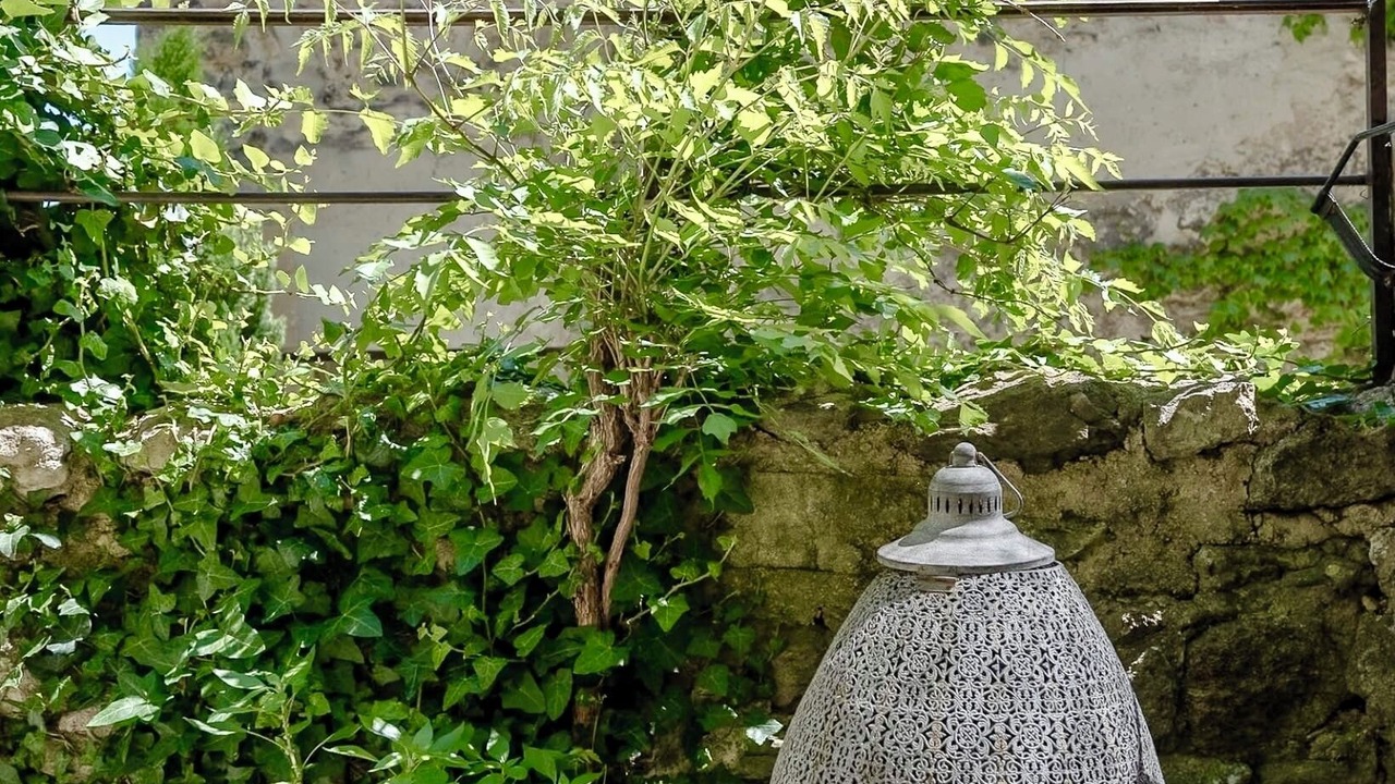 Photo of Outdoor in Grignan