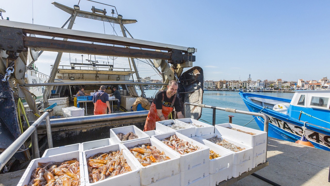 Photo of Others in Cambrils