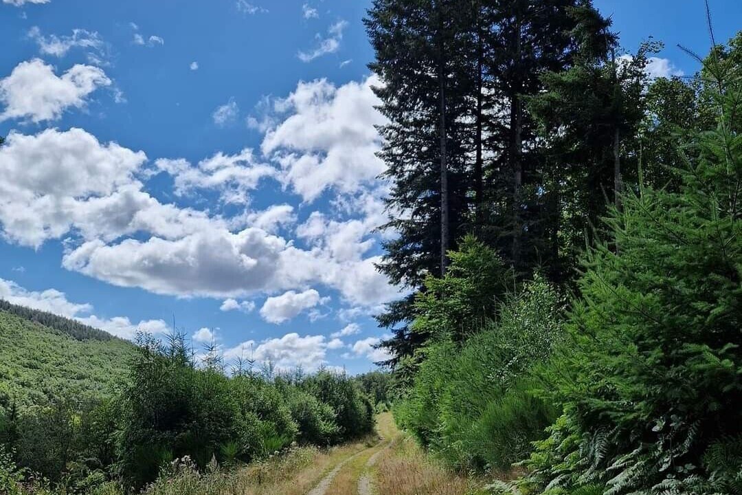 Photo of Outdoor in La Salvetat-sur-Agout