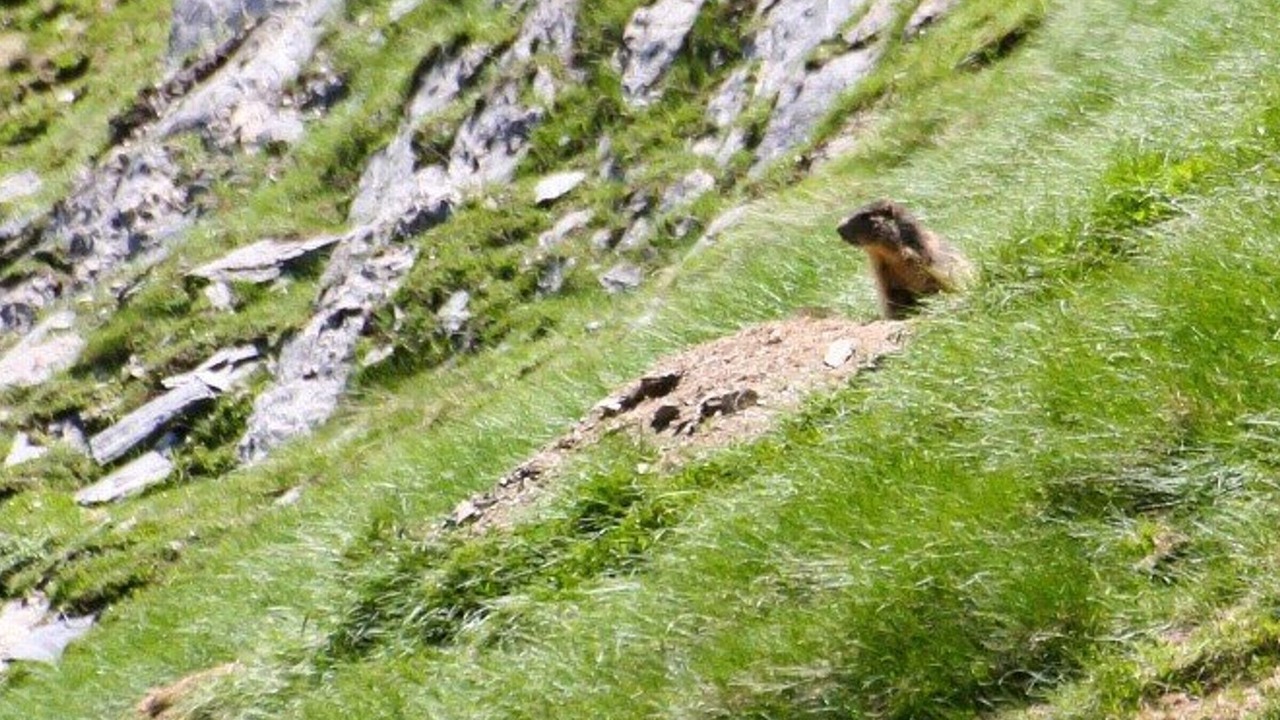 Photo of Outdoor in Cauterets