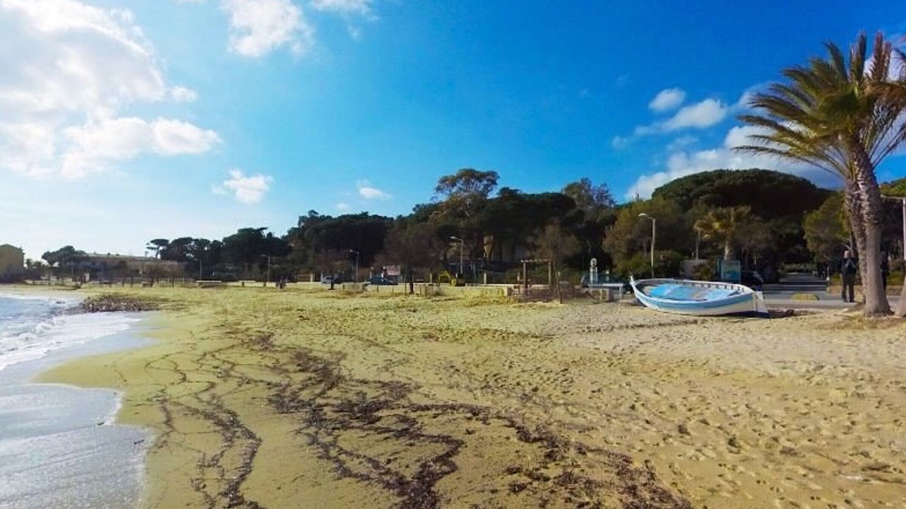 Photo of Others in Le Lavandou