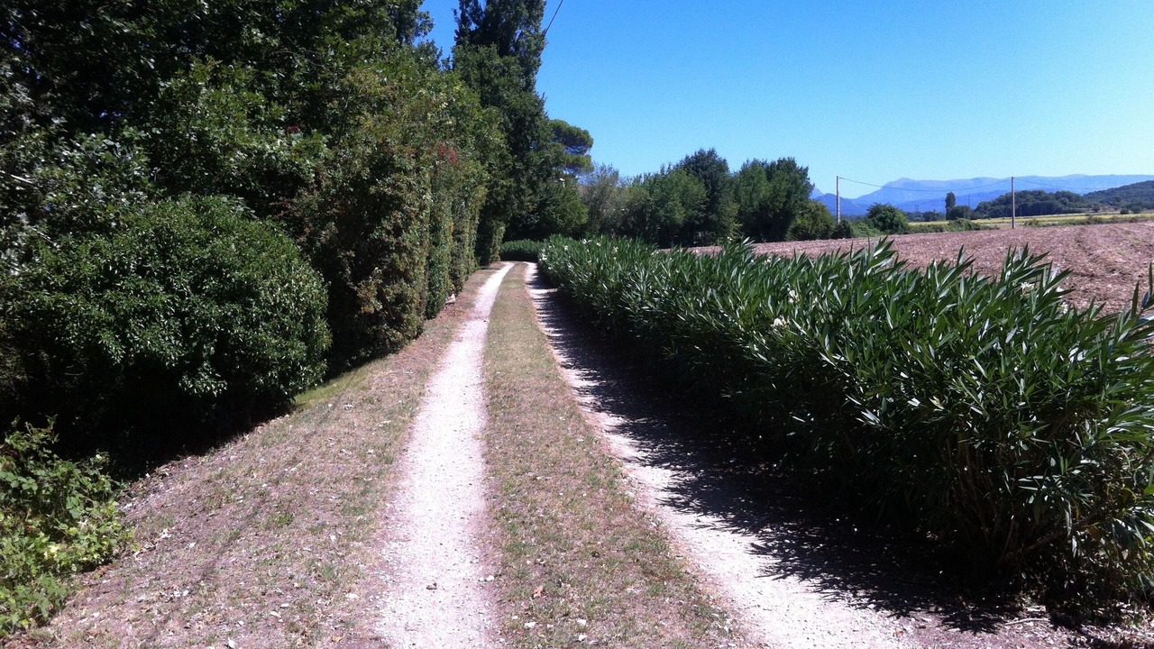 Photo of Outdoor in Sauzet