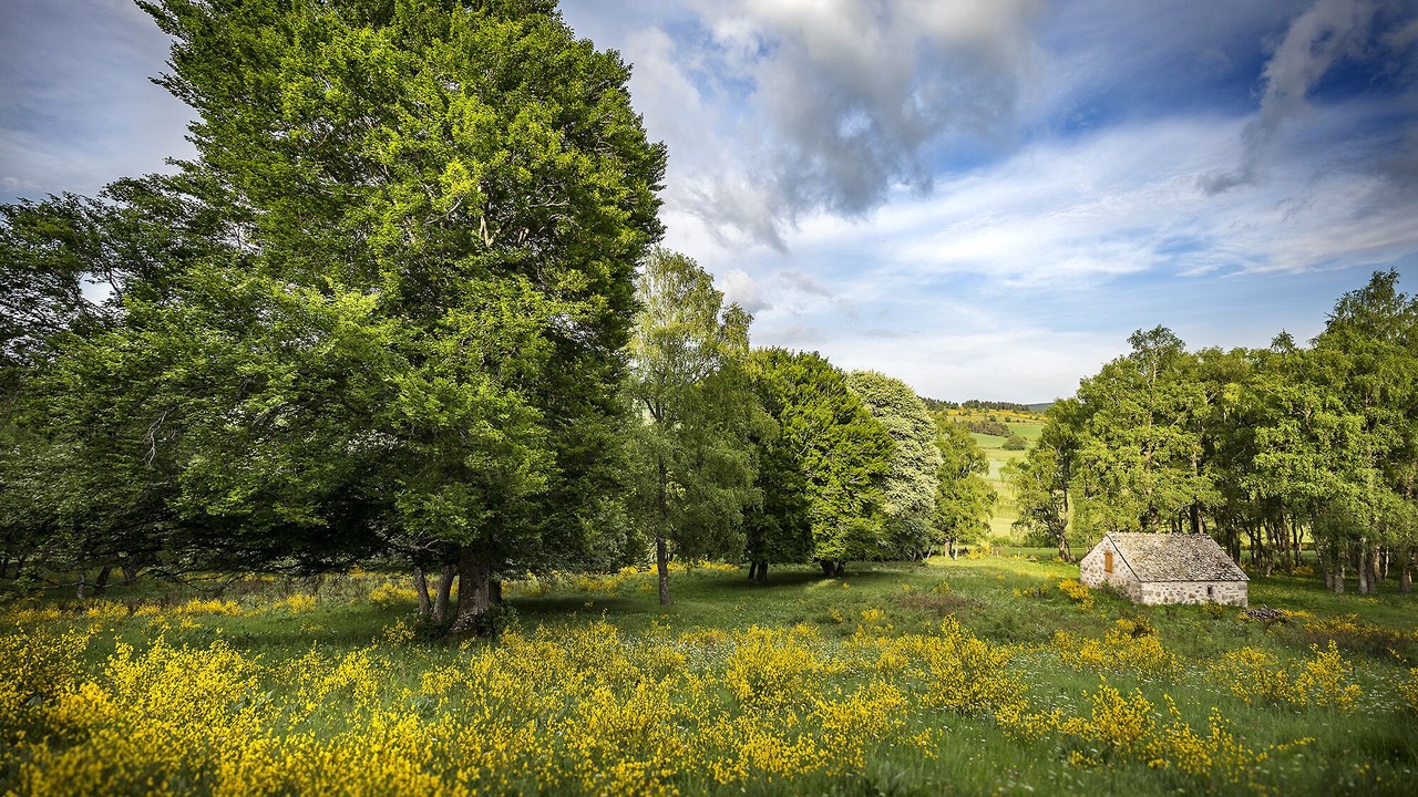 Photo of Outdoor in Estables