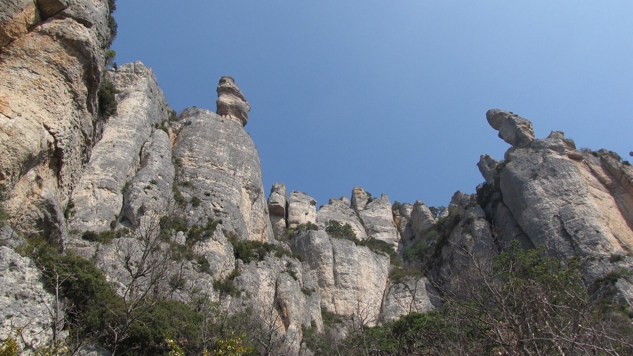 Photo of Outdoor in Estables