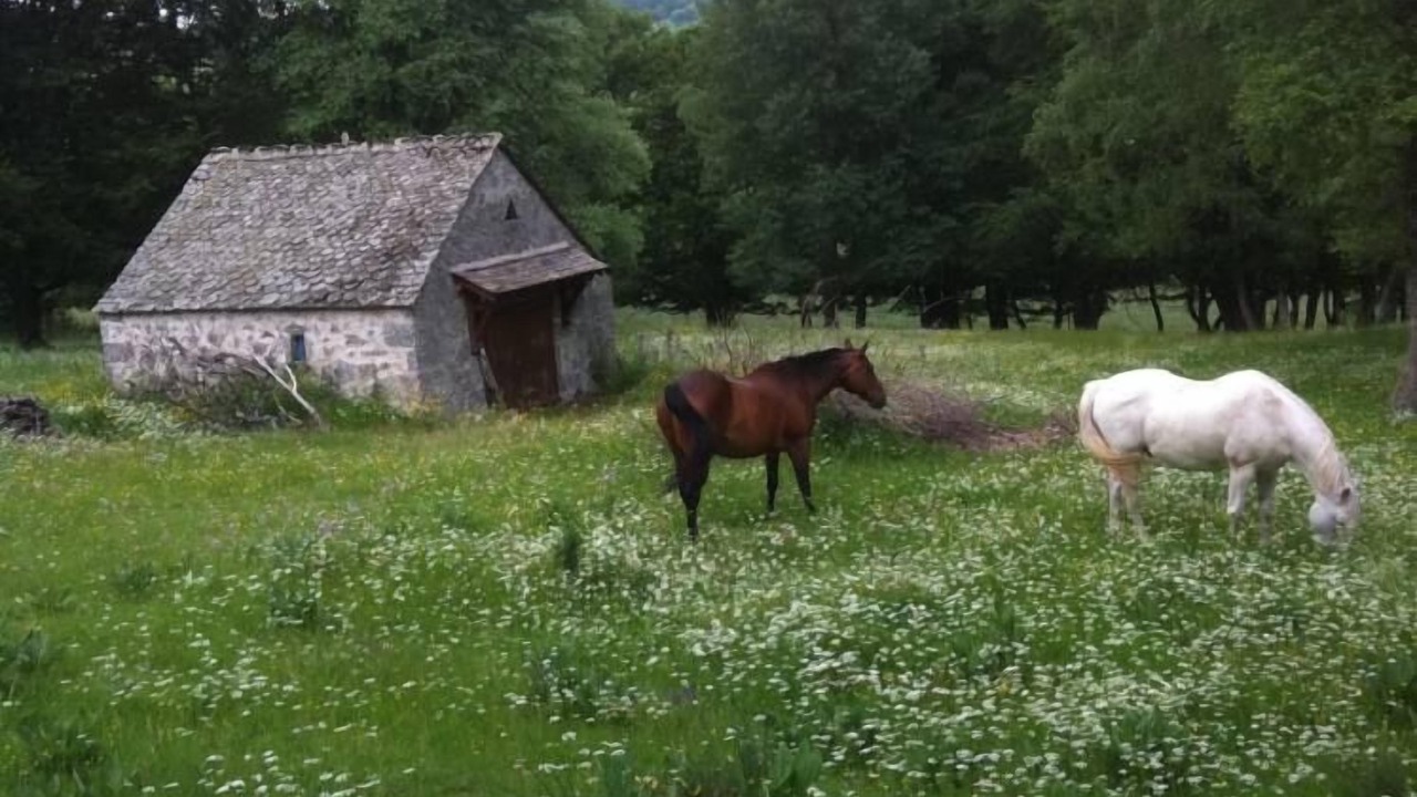 Photo of Outdoor in Estables