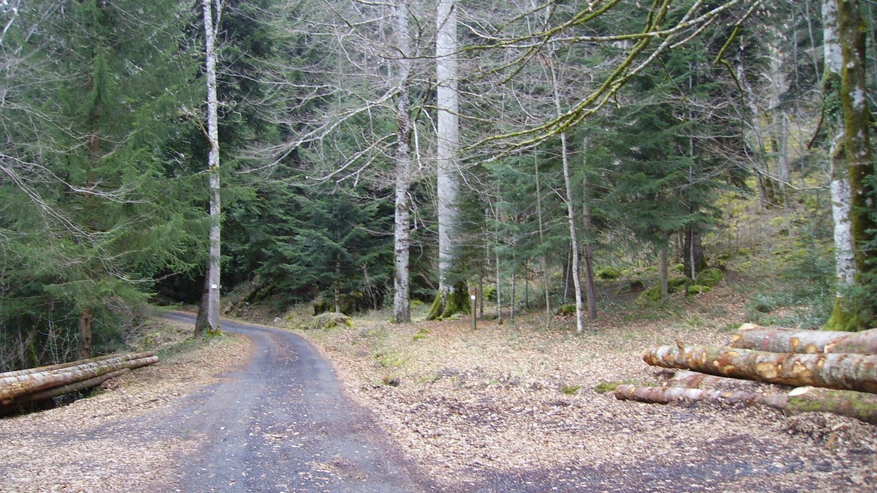 Photo of Outdoor in Condat