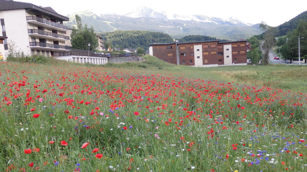 Photo of Outdoor in Villard-de-Lans