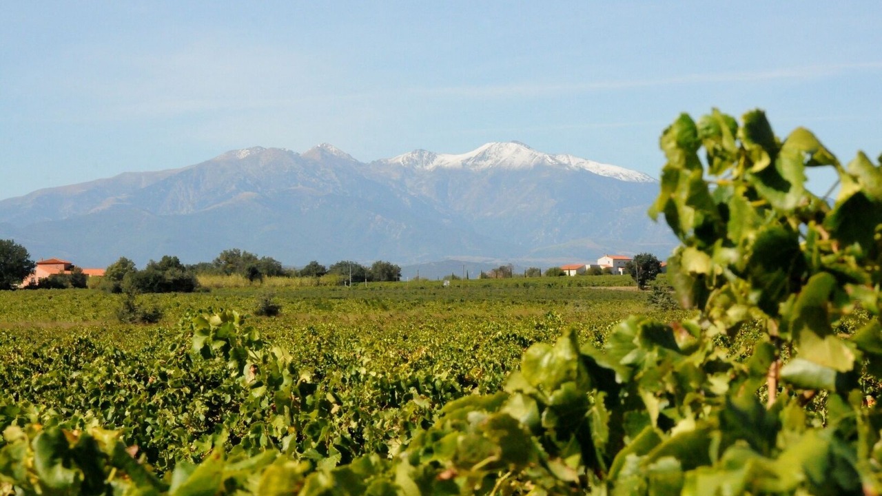 Photo of Outdoor in Brouilla