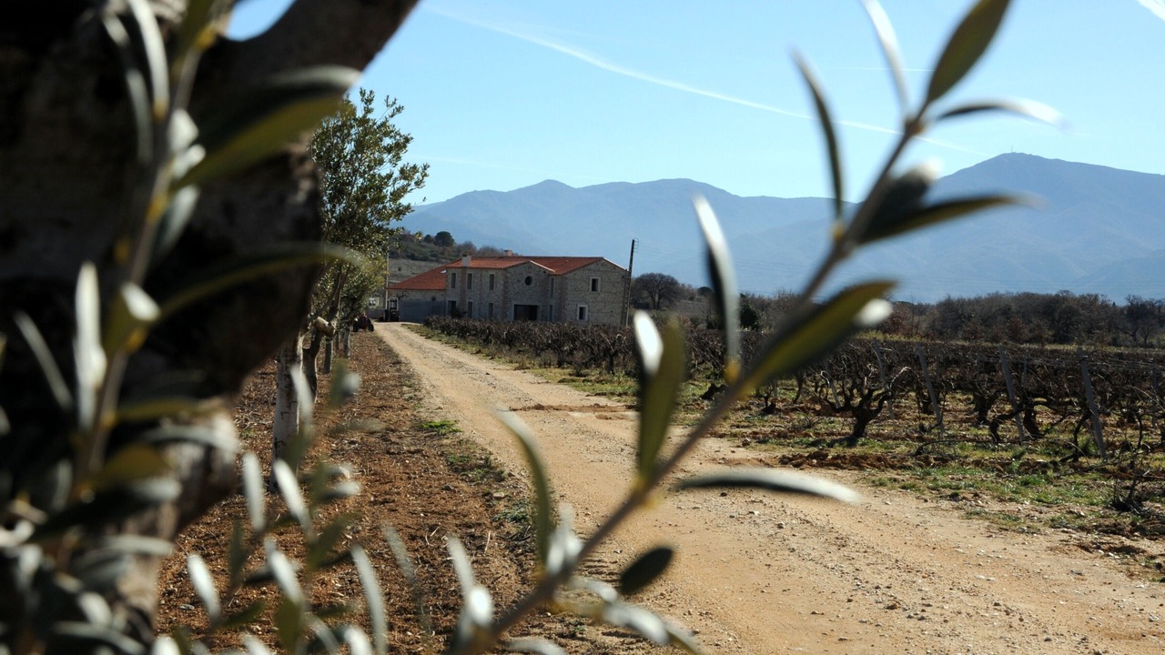 Photo of Outdoor in Brouilla