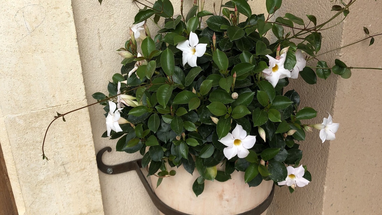 Photo of Outdoor in Saint-Saturnin-les-Apt