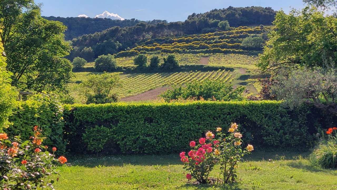 Photo of Outdoor in Vinsobres