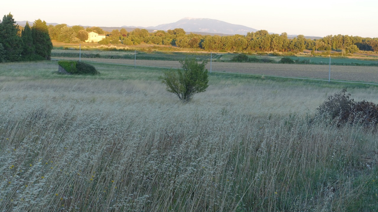 Photo of Others in Grignan