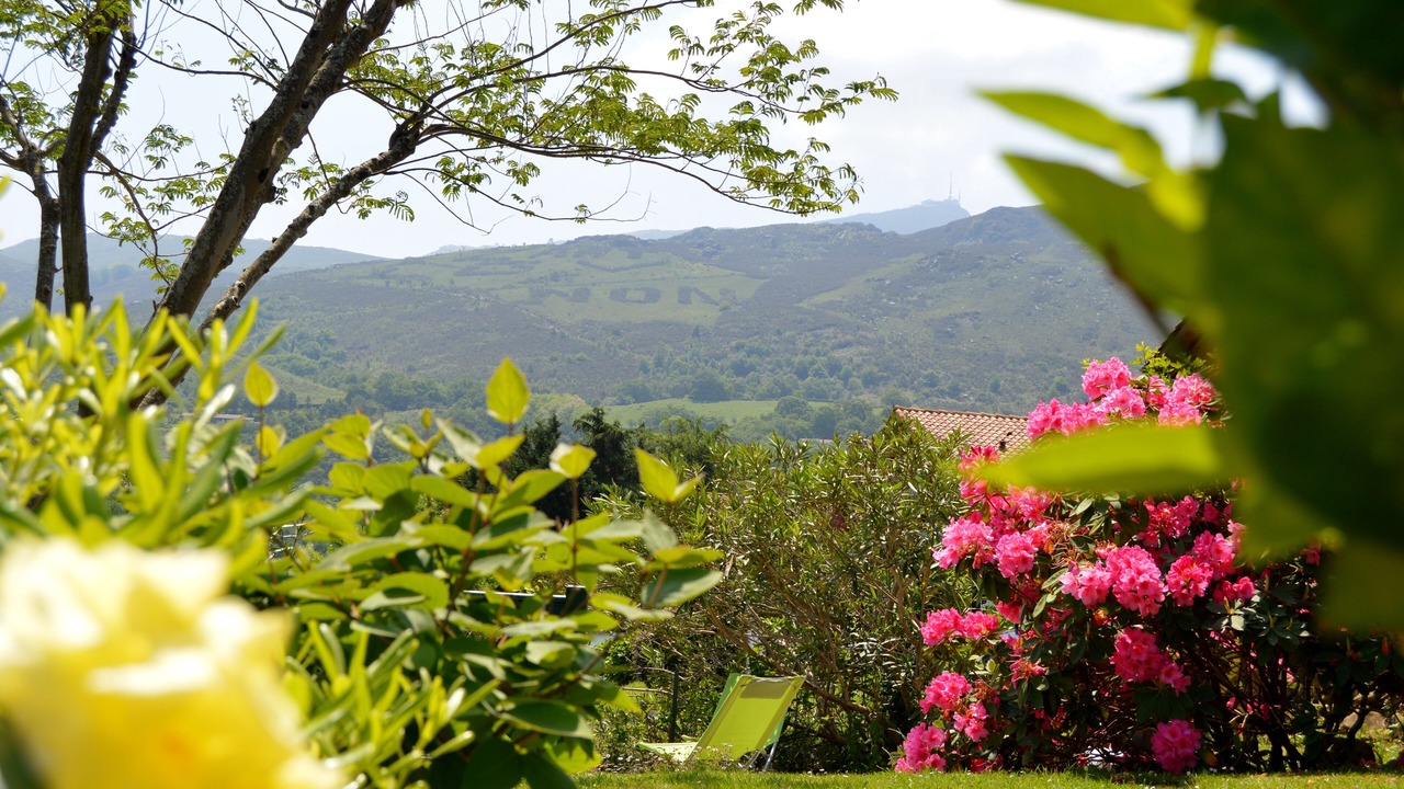 Photo of Outdoor in Ascain