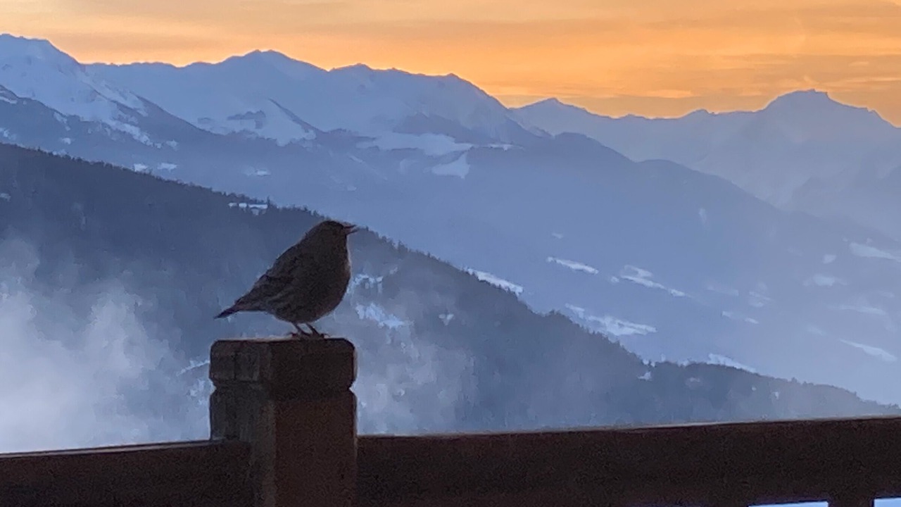Photo of Patio Balcony in La Rosiere