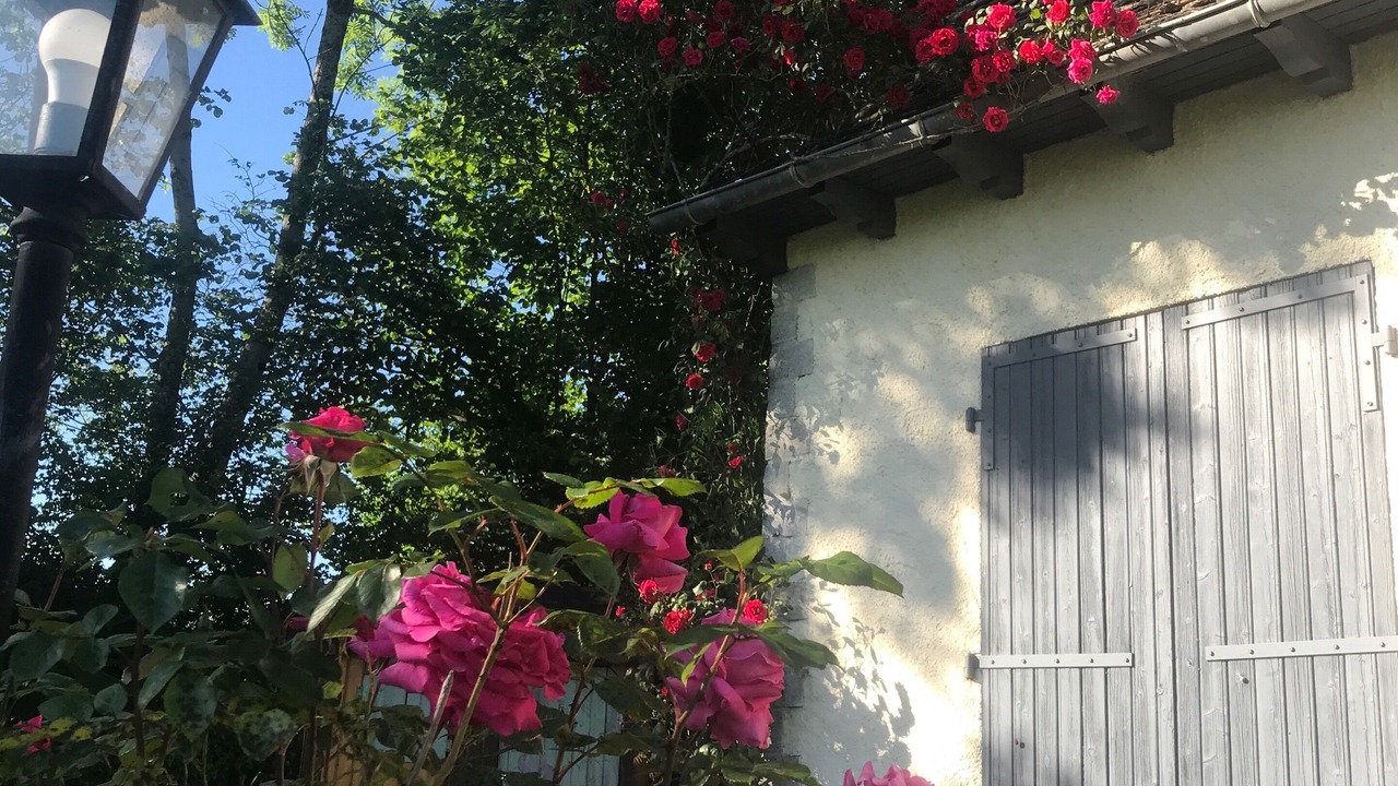 Photo of Outdoor in Vic-sur-Cere