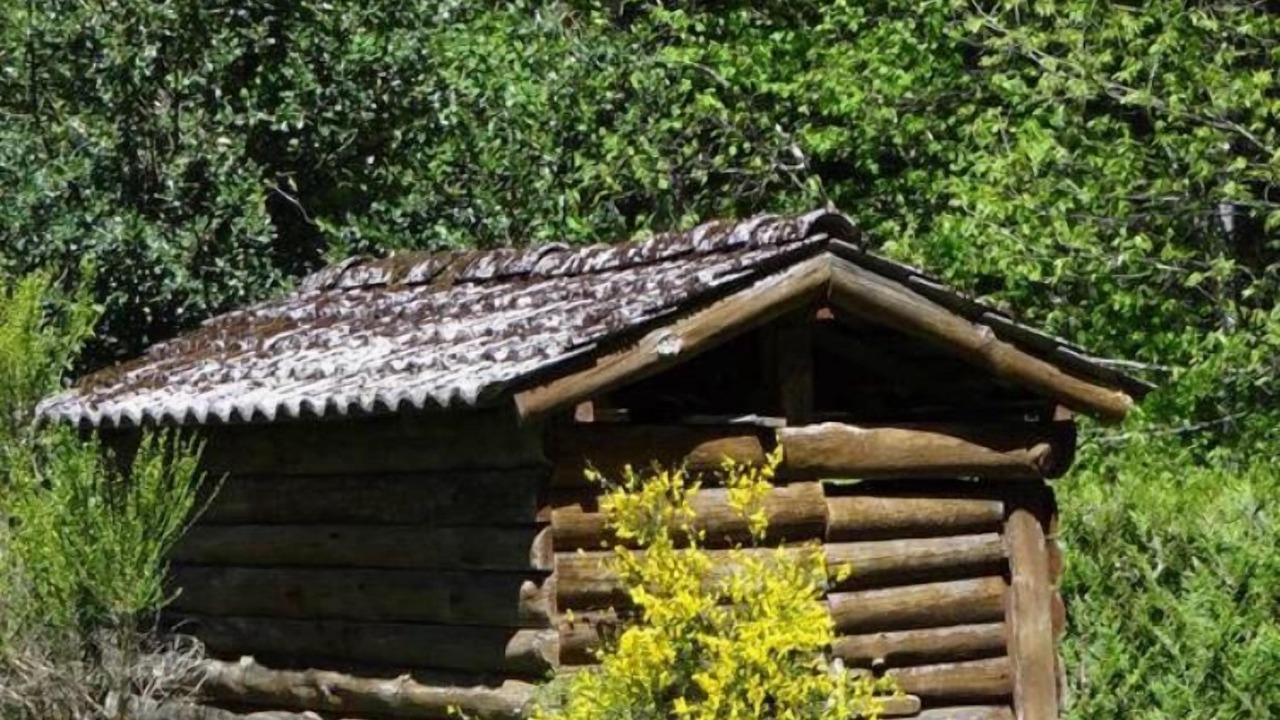 Photo of Outdoor in Roumegoux