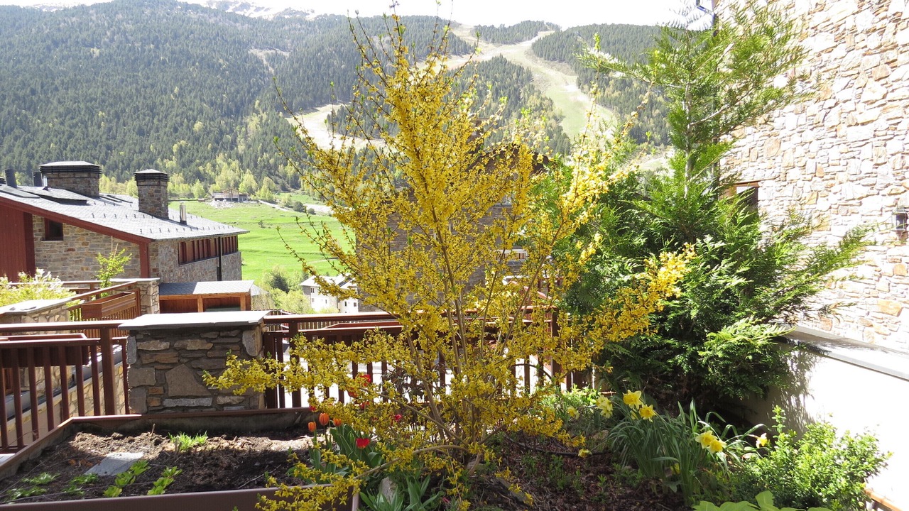 Photo of Outdoor in El Tarter