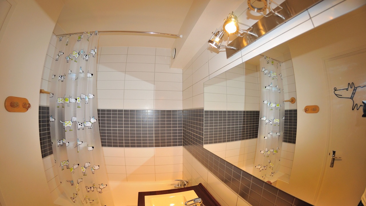 Photo of Bathroom in Cognet