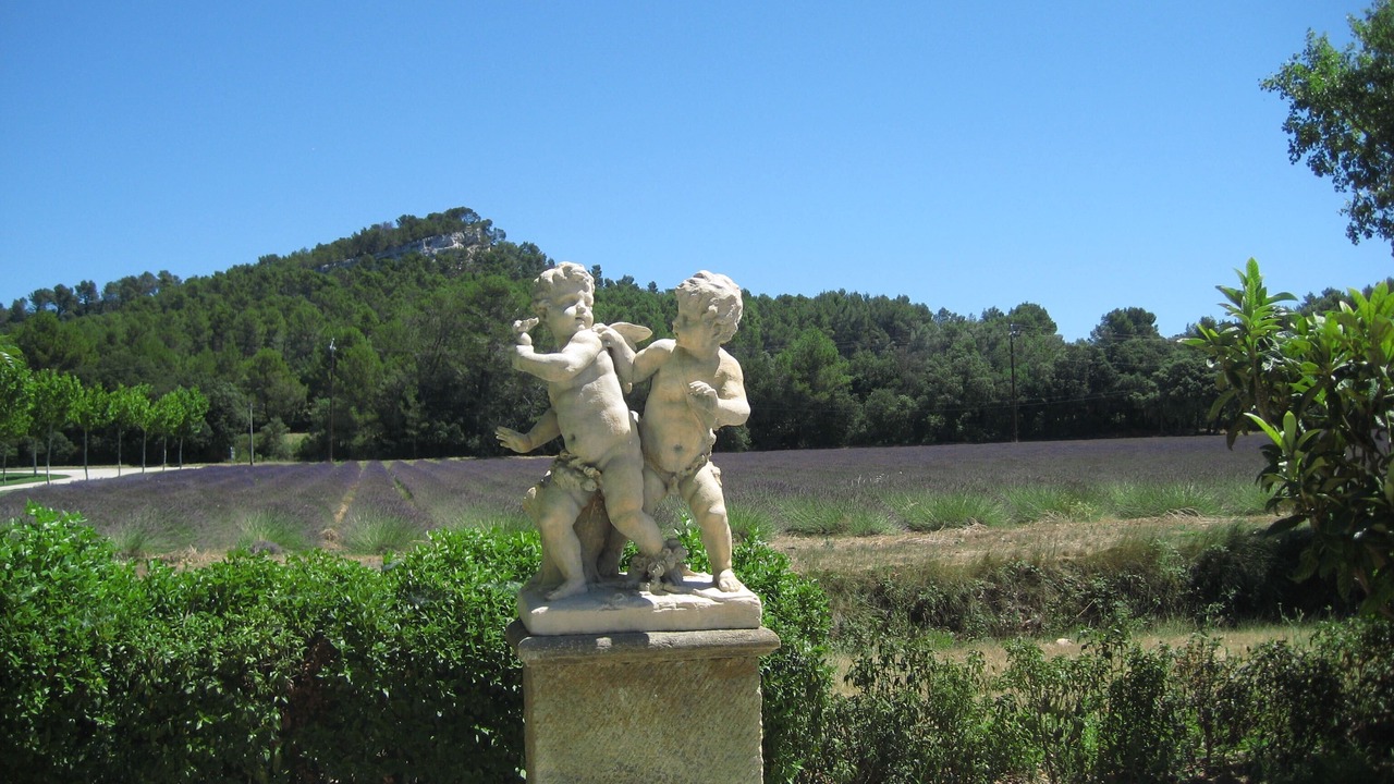 Photo of Others in St.-Remy-de-Provence