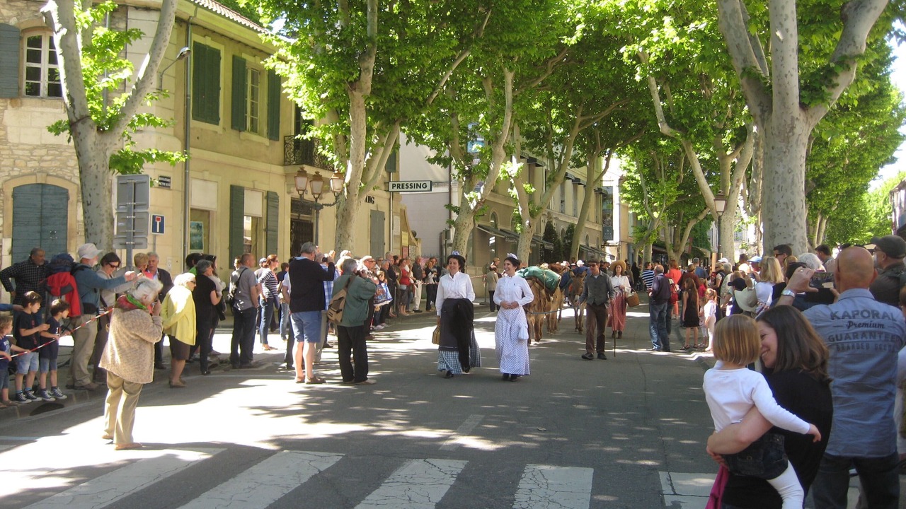 Photo of Others in St.-Remy-de-Provence