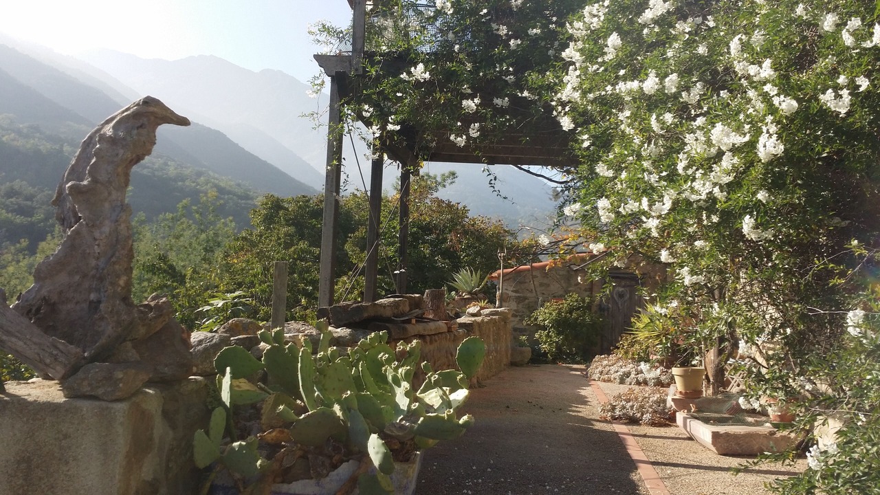 Photo of Outdoor in Estoher
