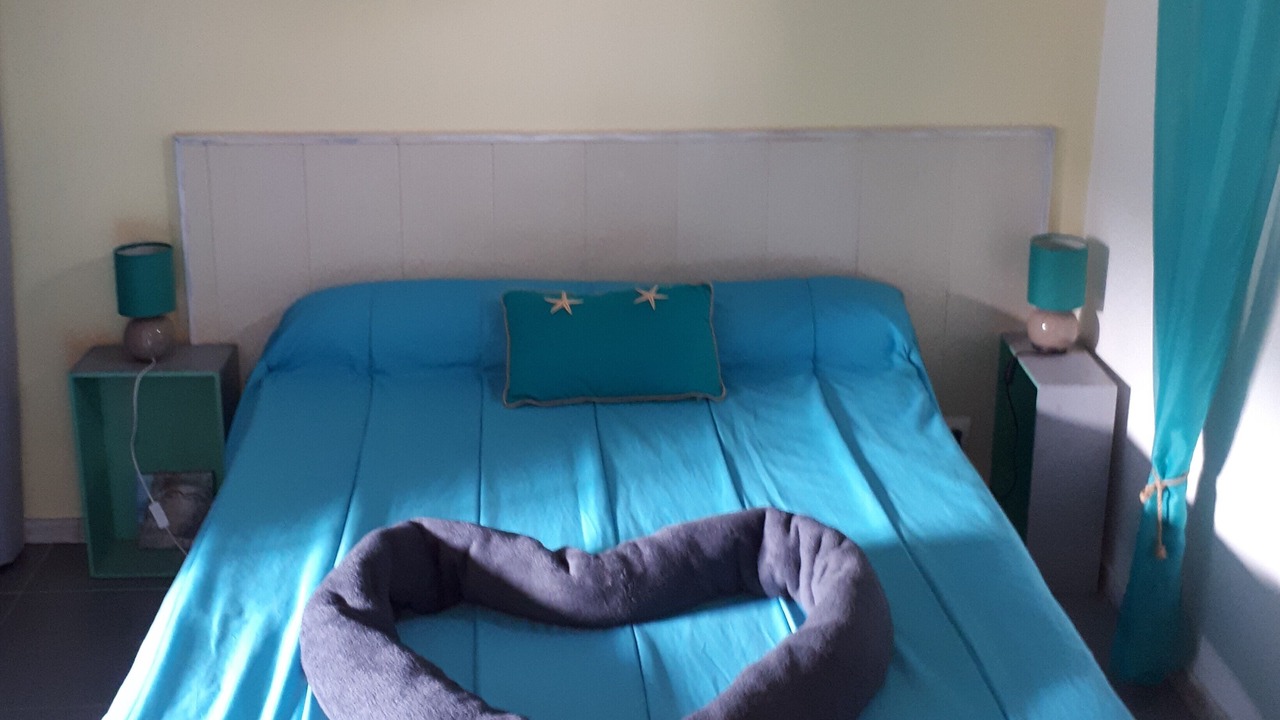 Photo of Bedroom in Gujan-Mestras