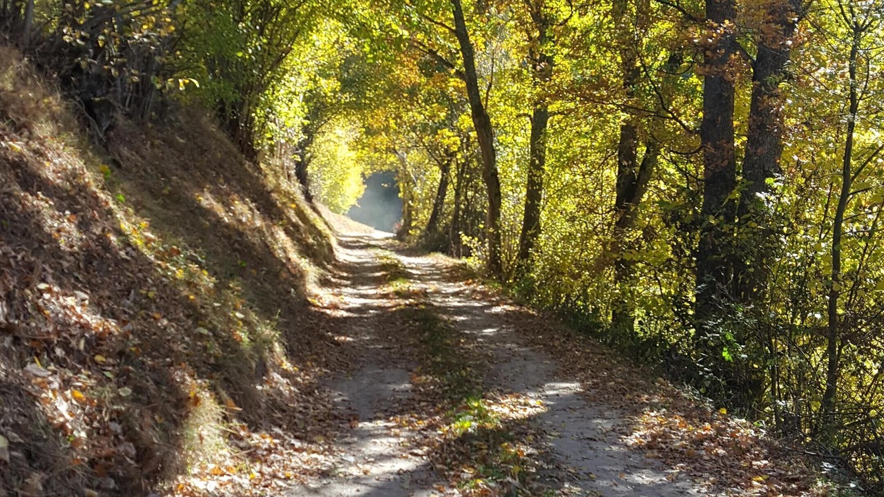 Photo of Outdoor in Saint-Alban-sur-Limagnole