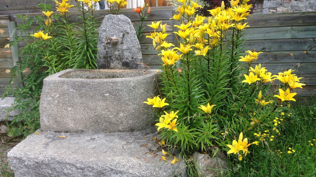 Photo of Outdoor in Saint-Alban-sur-Limagnole
