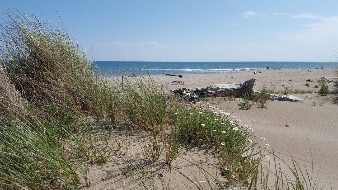 Photo of Others in Portiragnes-Plage