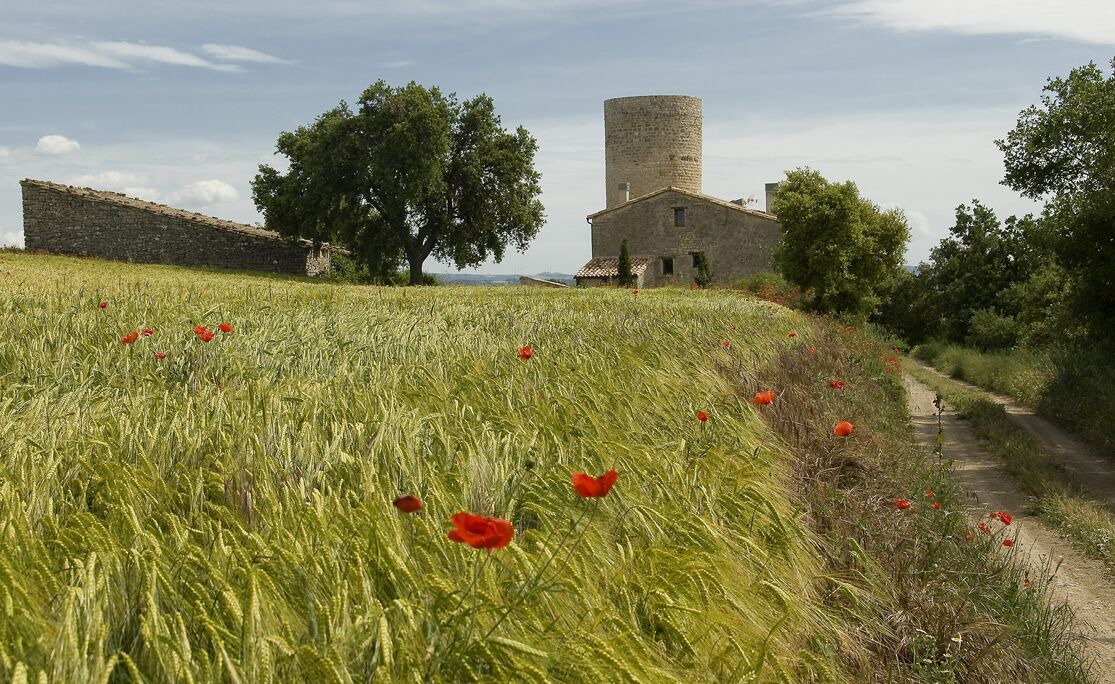 Photo of Outdoor in Estaras