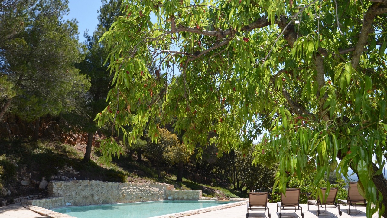 Photo of Outdoor in Cabra del Camp