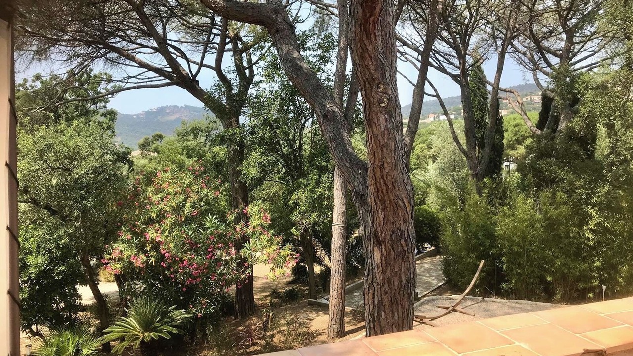 Photo of Outdoor in Les Issambres