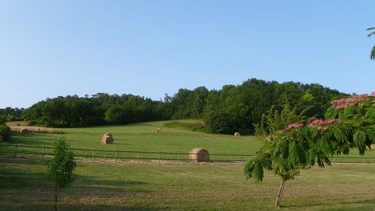 Photo of Outdoor in Montcaret
