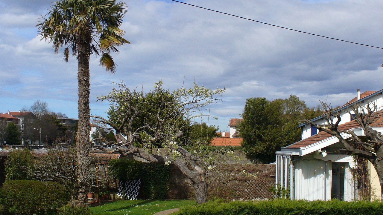 Photo of Outdoor in Bayonne