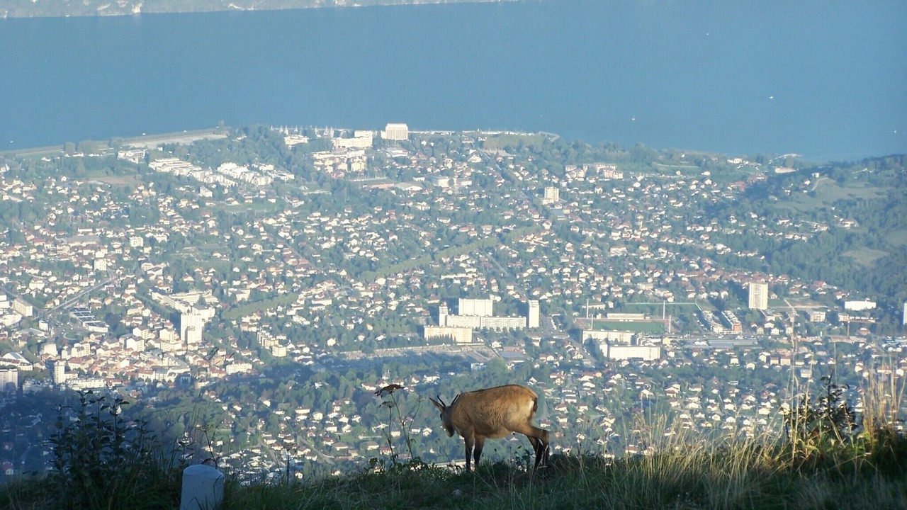 Photo of Others in Pugny-Chatenod