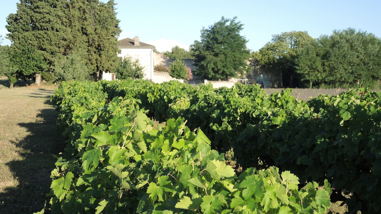 Photo of Outdoor in Bonlieu-sur-Roubion