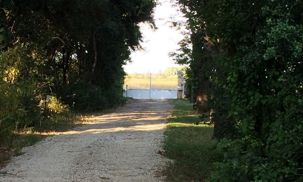 Photo of Outdoor in Saint-Nazaire-de-Pezan