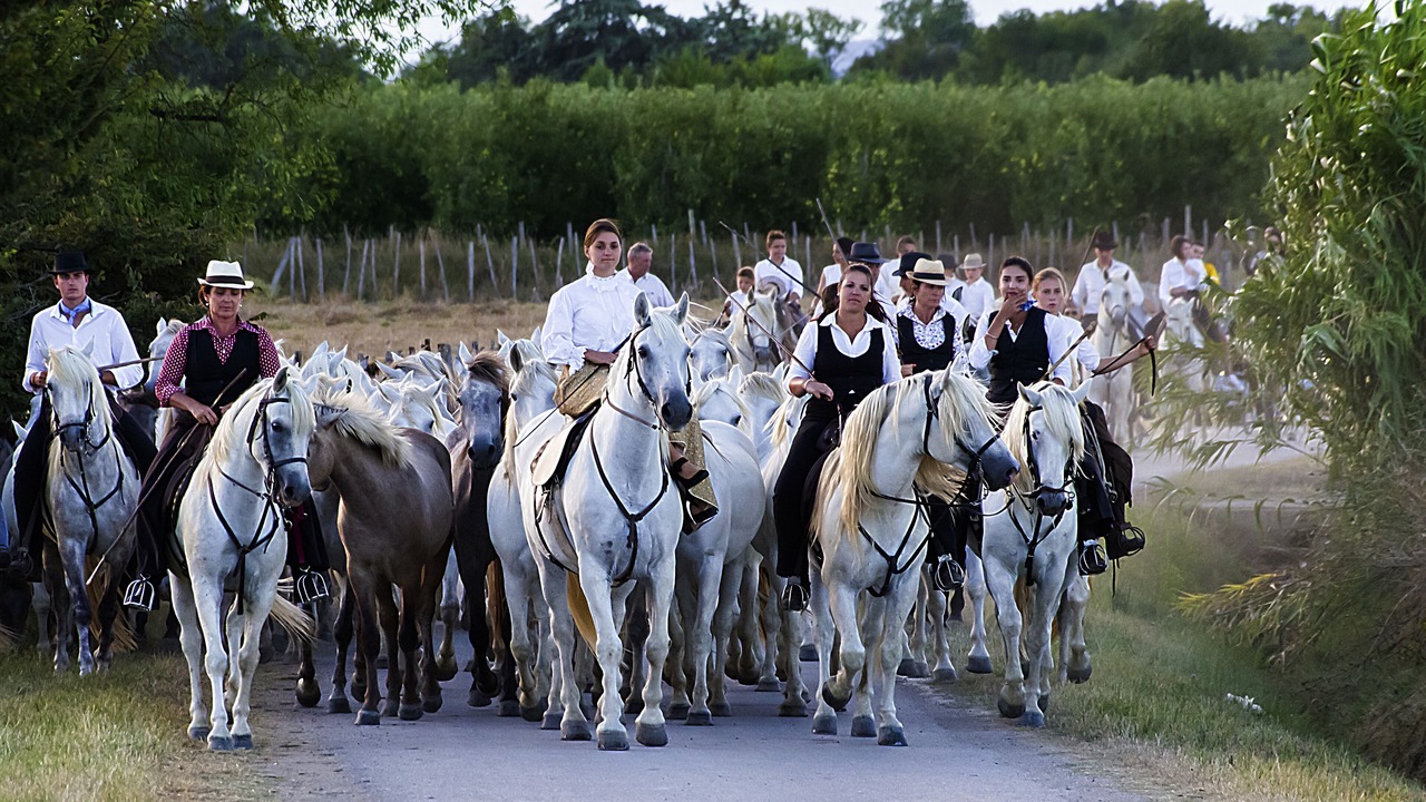 Photo of Others in Saint-Nazaire-de-Pezan