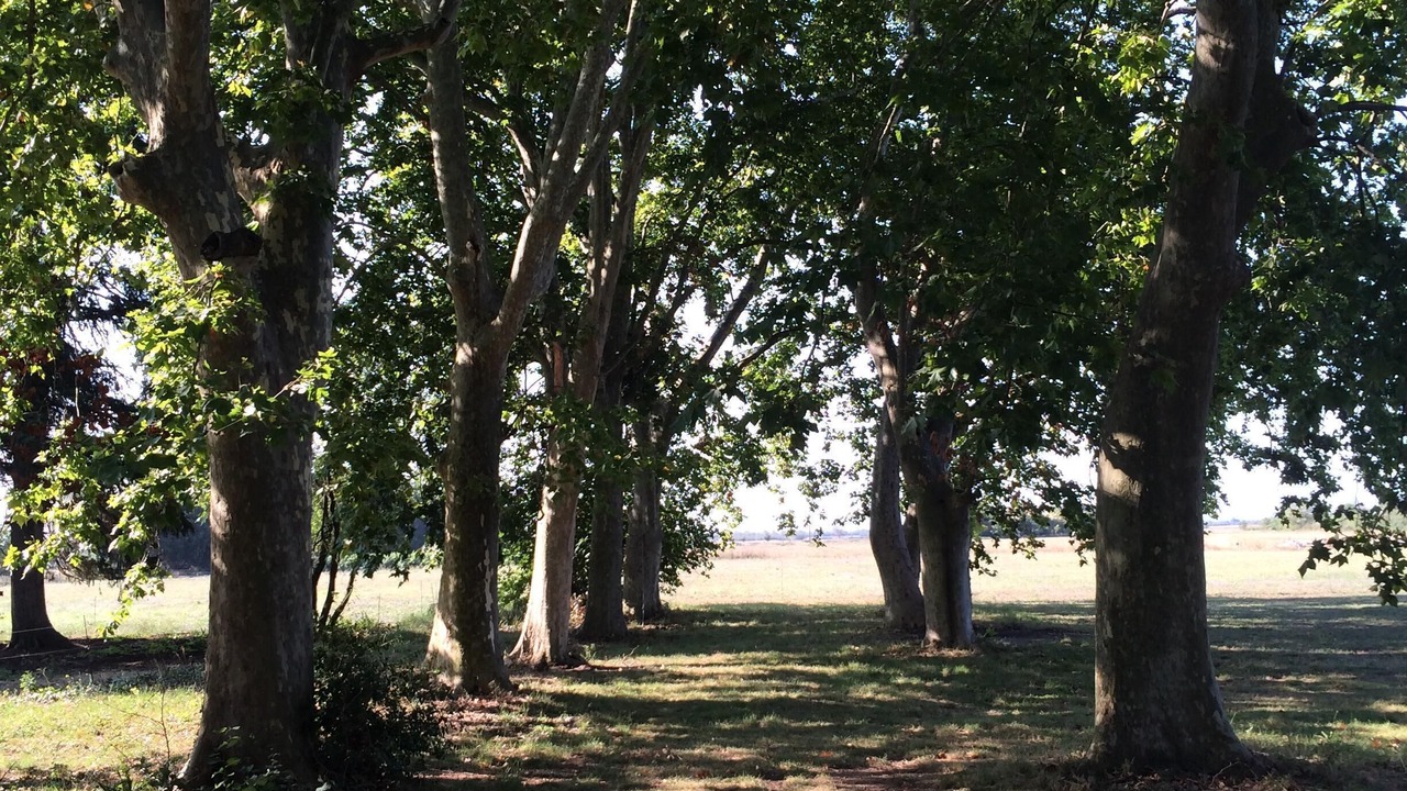 Photo of Outdoor in Saint-Nazaire-de-Pezan