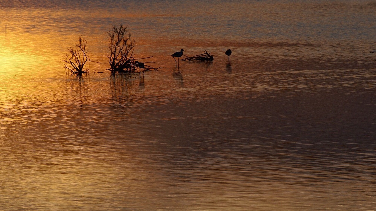 Photo of Others in Saint-Nazaire-de-Pezan