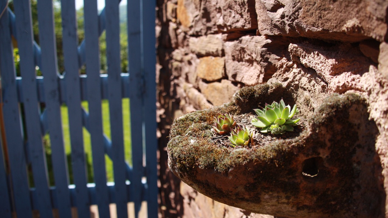 Photo of Outdoor in Calmels-et-le-Viala