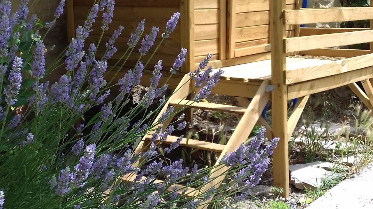 Photo of Outdoor in Salon-de-Provence
