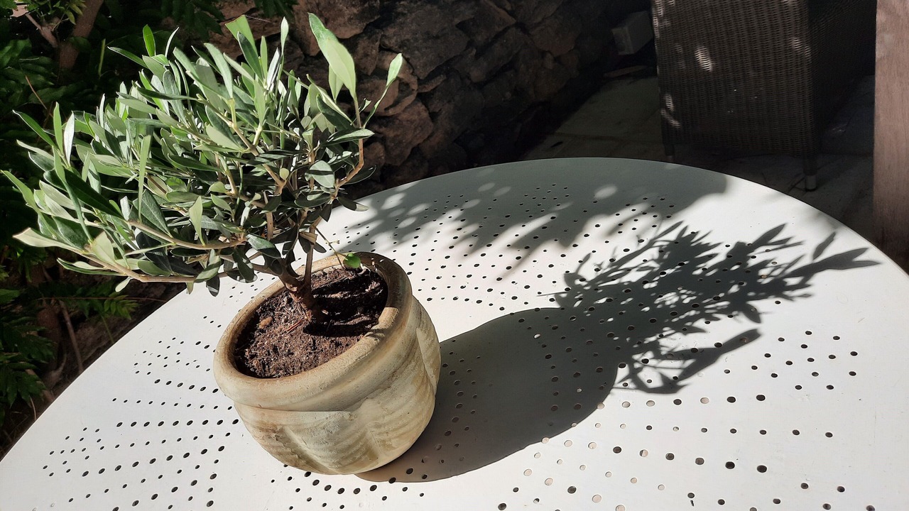 Photo of Outdoor in Salon-de-Provence