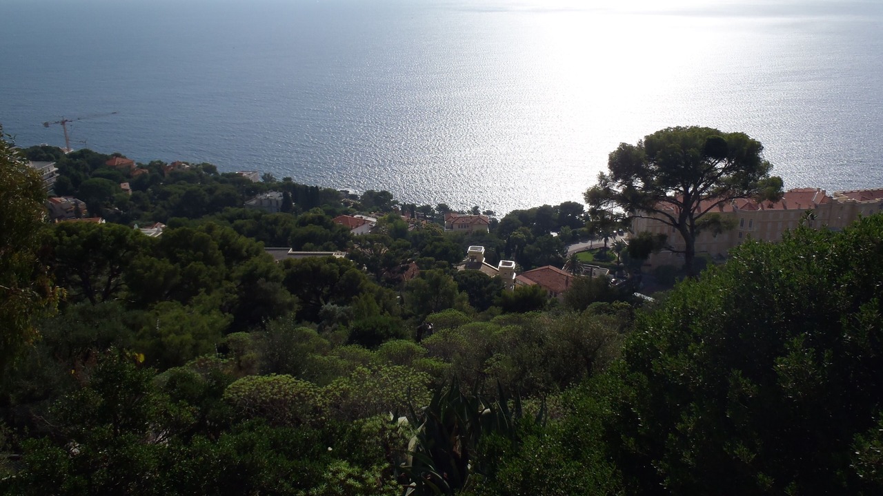 Photo of Others in Cap d'Ail