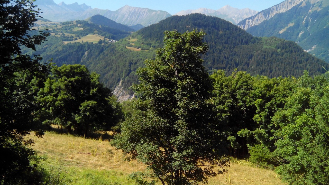Photo of Outdoor in Albiez-le-Jeune