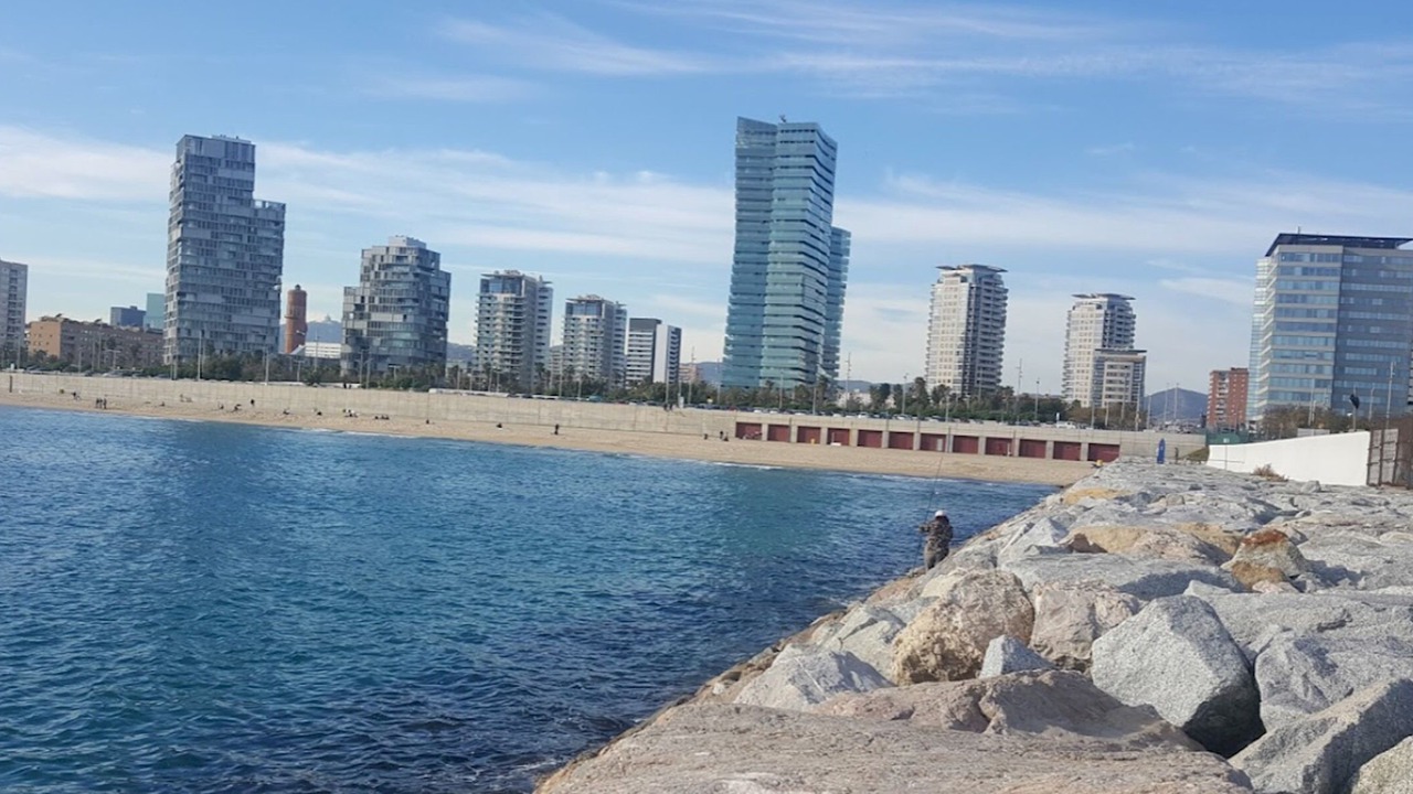 Photo of Others in El Parc i la Llacuna del Poblenou