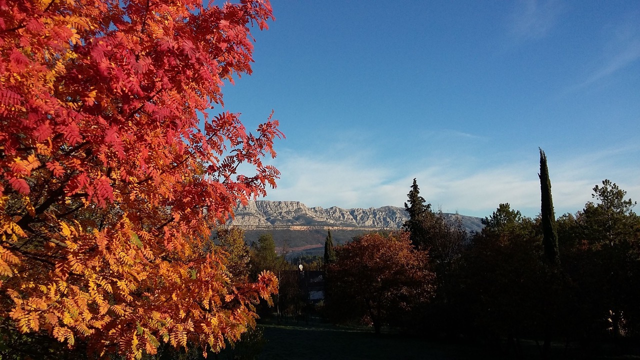 Photo of Outdoor in Fuveau