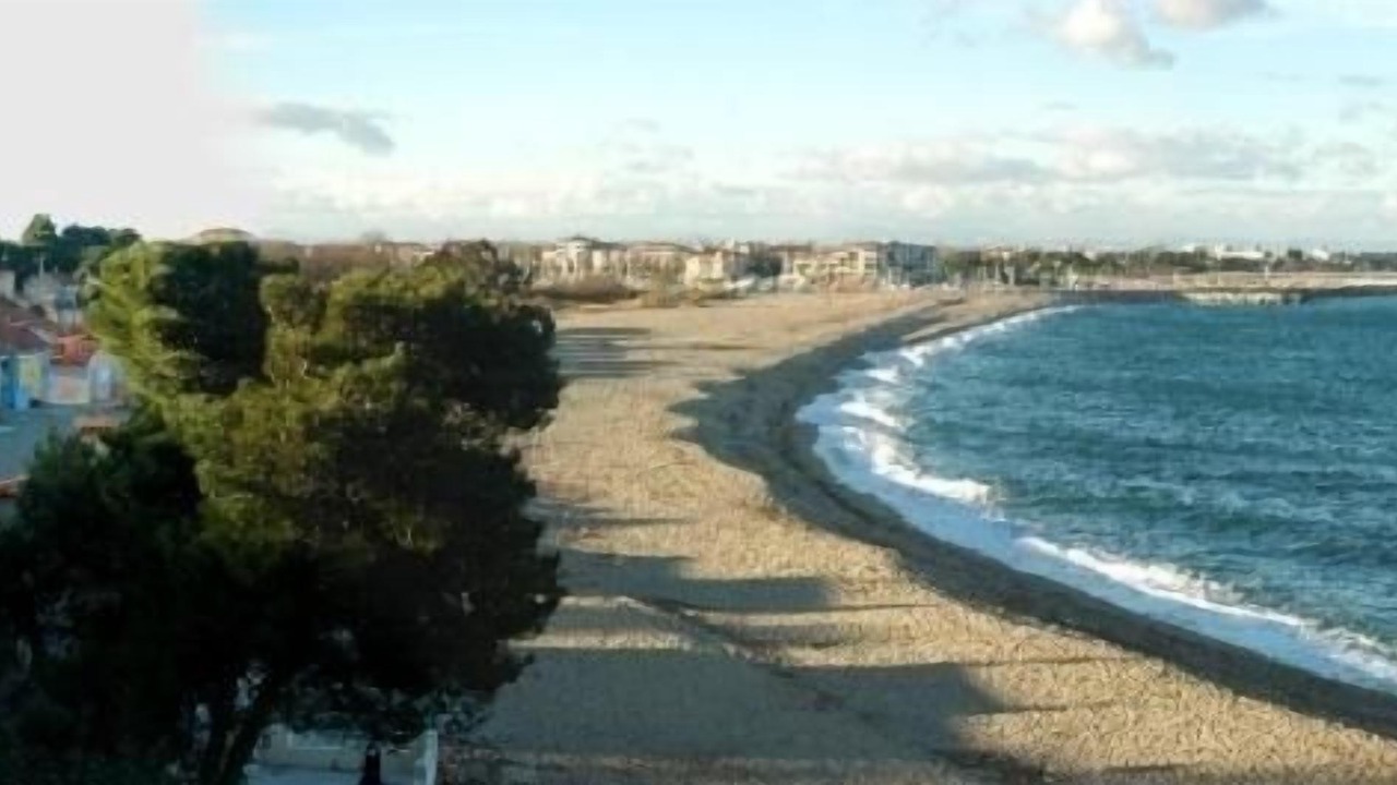 Photo of Outdoor in Plage d'Argeles